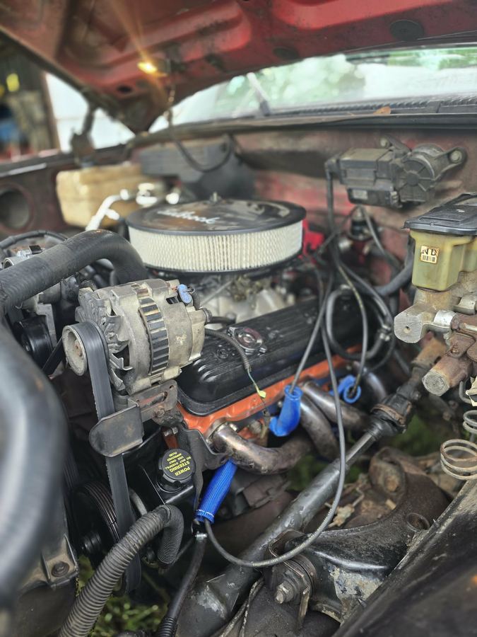 Carbureted V8 in the engine bay of a classic Chevrolet pickup